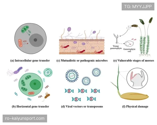 博格巴控球分散性对若日尼奥体系驱动转移的影响机制