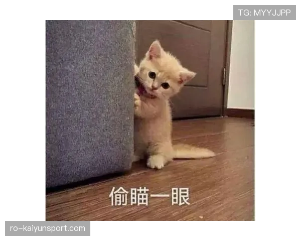 林孝埈随手背的包，我得攒半年工资才配瞄一眼